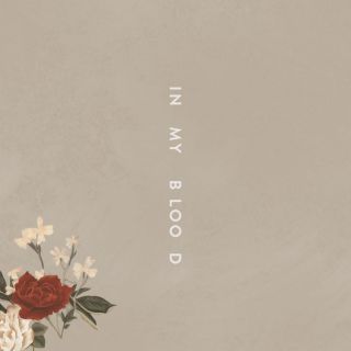 Shawn Mendes - In My Blood (Radio Date: 06-04-2018)