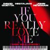DAVID GUETTA, MISTAJAM & JOHN NEWMAN - If You Really Love Me (How Will I Know)