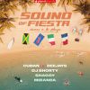 CUBAN DEEJAYS, DJ SHORTY & MIRANDA - Sound of Fiesta (Vamos A La Playa) (feat. Shaggy)