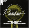 DAVID GUETTA & MASON VS PRINCESS SUPERSTAR - Perfect (Exceeder)