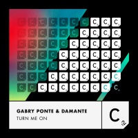 GABRY PONTE, DAMANTE - Turn Me On