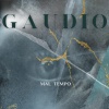 GAUDIO - Maltempo