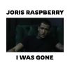 JORIS RASPBERRY - I Was Gone