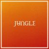 JUNGLE - Candle Flame (feat. Erick The Architect)
