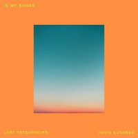 LOST FREQUENCIES, DAVID KUSHNER - In My Bones