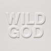 NICK CAVE & THE BAD SEEDS - Wild God