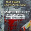 NICOLA FASANO & HONOREBEL - Own The Night (feat. Shaggy, GrooveGalore Muzik)