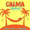 PEDRO CAPÓ & FARRUKO - Calma (Remix)
