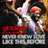 QUINZE & BOB SINCLAR - Never Knew Love Like This Before