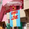 RUDIMENTAL - Scared of Love (feat. Ray BLK & Stefflon Don)