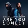 STEVE AOKI & ALAN WALKER - Are You Lonely (feat. ISÁK)