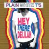 PLAIN WHITE T'S - Hey there Delilah