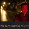 MESHELL NDEGEOCELLO - Dirty World