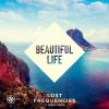 LOST FREQUENCIES - Beautiful Life (feat. Sandro Cavazza)