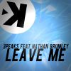 3PEAKS - Leave Me (feat. Nathan Brumley)