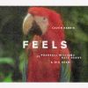 CALVIN HARRIS - Feels (feat. Pharrell Williams, Katy Perry & Big Sean)