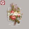 SPADA - Somebody New (feat. Ezra James)