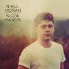 NIALL HORAN - Slow Hands