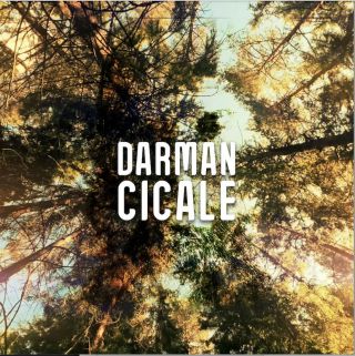 DARMAN - Cicale (Radio Date: 10-11-2023)