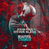 JOHN RAIS & STEVEN BLESH - Beautiful Stranger