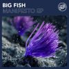 BIG FISH - Walk Away (feat. David Blank)