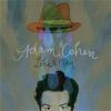 ADAM COHEN - What Other Guy