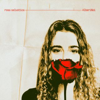 AlberiNoi - Rosa selvatica (Radio Date: 17-11-2023)