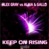 ALEX GRAY VS ALAIA & GALLO - Keep On Rising