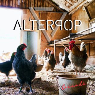 Alterpop - Coccodè (Radio Date: 25-11-2022)