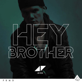 Avicii - Hey Brother (Radio Date: 29-11-2013)