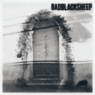 Bad Black Sheep - Arancione (Radio Date: 16-02-2024)