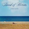 BAND OF HORSES - Casual Party
