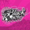 BLACK ROSES - Il Mio Domani