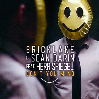 Bricklake & Sean Darin - Don't You Mind (feat. Herr Spiegel) (Radio Date: 14-03-2014)