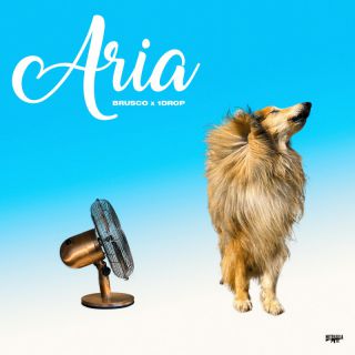 BRUSCO X 1Drop - Aria (Radio Date: 23-06-2022)