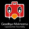 CAPAREZZA - Goodbye Malinconia (feat. Tony Hadley)
