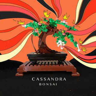 Cassandra - Bonsai (Radio Date: 24-11-2023)