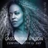 CASSANDRA WILSON - You Go to My Head