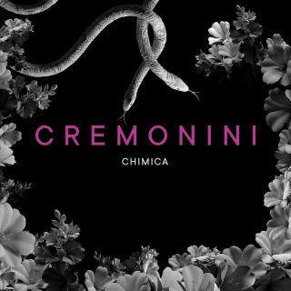 Cesare Cremonini - Chimica