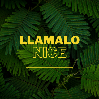 Christopher Yansen - Llamamo Nice (Radio Date: 07-07-2023)