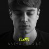 CIOFFI - Anima fragile