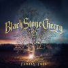 BLACK STONE CHERRY - Carry Me On Down The Road