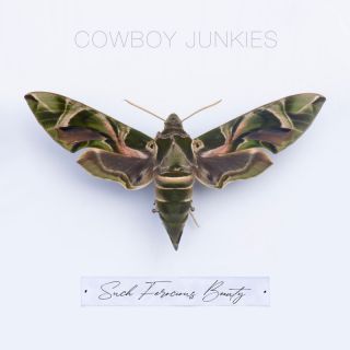 Cowboy Junkies - Shadows 2 (Radio Date: 24-05-2023)