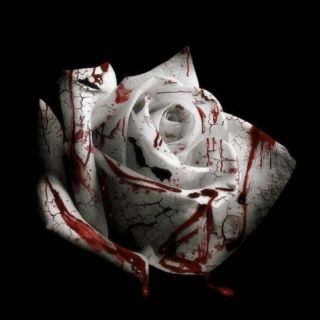 D4VD - Romantic Homicide (Radio Date: 28-10-2022)