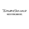 DAVID GILMOUR - Faces of Stone
