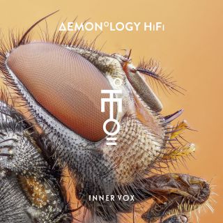 Demonology Hifi - Fino Al Giorno In Cui (feat. Cosmo) (Radio Date: 16-01-2017)