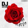 DJ ANTOINE - La Vie en Rose