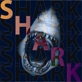 DJ Bright - SHARK (Radio Date: 16-12-2022)