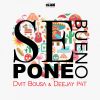 DVID BOUSA & DEEJAY P4T - Se Pone Bueno (Radio Edit)