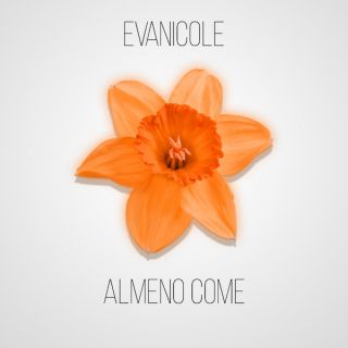 Evanicole - Almeno Come (Radio Date: 11-12-2020)